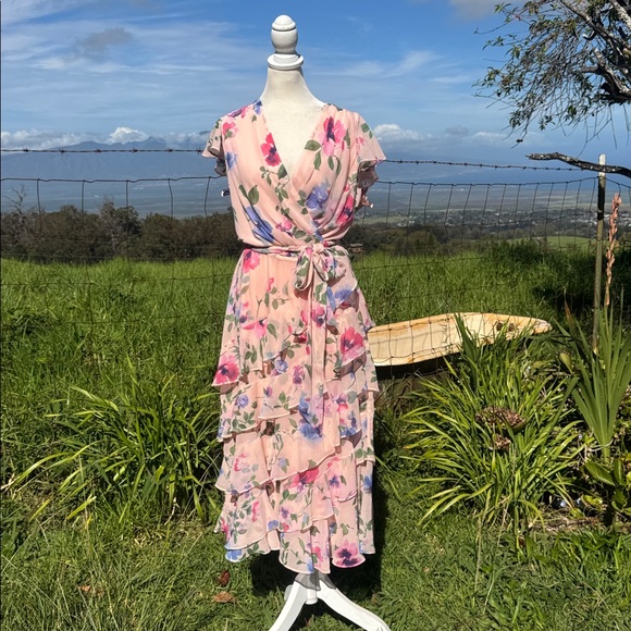 Lauren Ralph Lauren Dresses & Skirts - NWT Lauren Ralph Lauren Floral Belted Crinkle Georgette Dress Ruffle Pink 12
